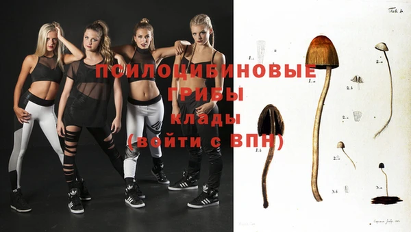 метадон Болотное