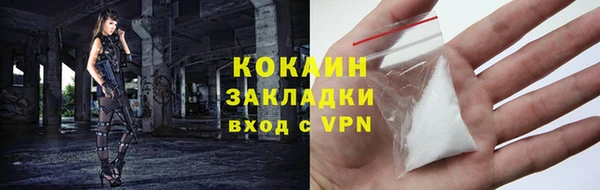 мдпв Осинники