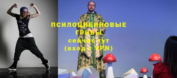 мдпв Осинники