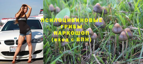 мдпв Осинники