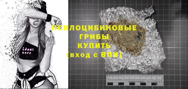 мдпв Осинники