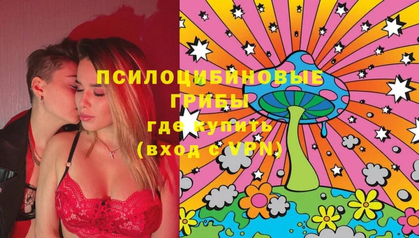 ГАЛЛЮЦИНОГЕННЫЕ ГРИБЫ Осташков