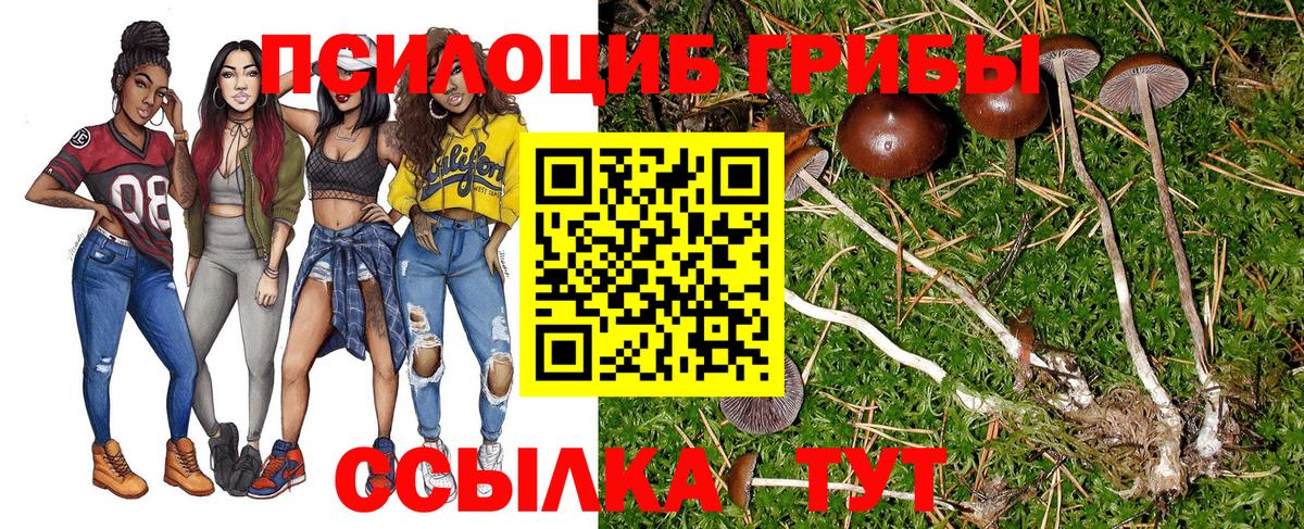 Галлюциногенные грибы мицелий Копейск