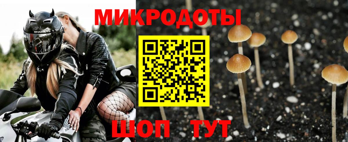 купить наркоту  Вход с VPN  Копейск  Псилоцибиновые грибы MAGIC MUSHROOMS 